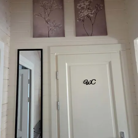 Among Nature In Apartment